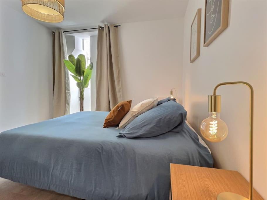 Le Victor Hugo, L'Appartement Valentinois Valence  Ngoại thất bức ảnh